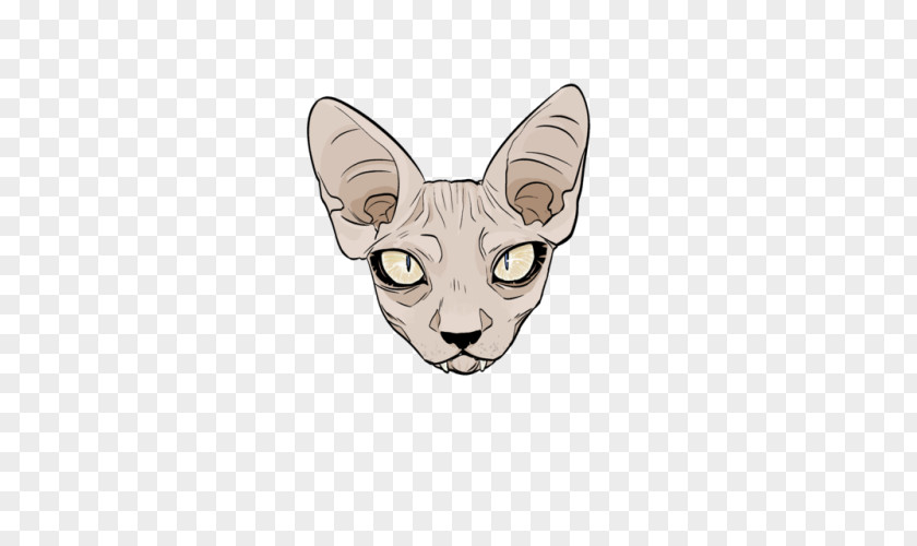 Kitten Whiskers Paw Character PNG