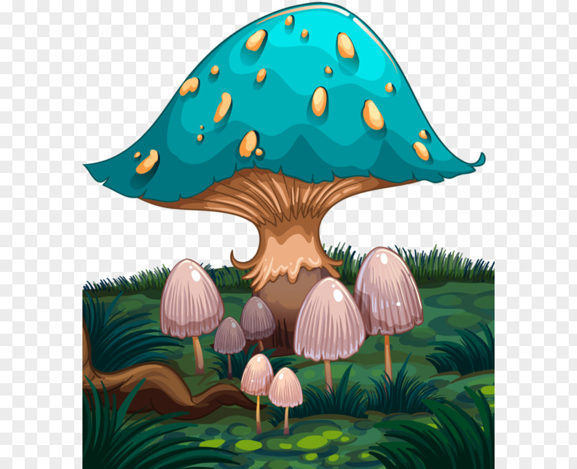 Mushroom Clip Art PNG