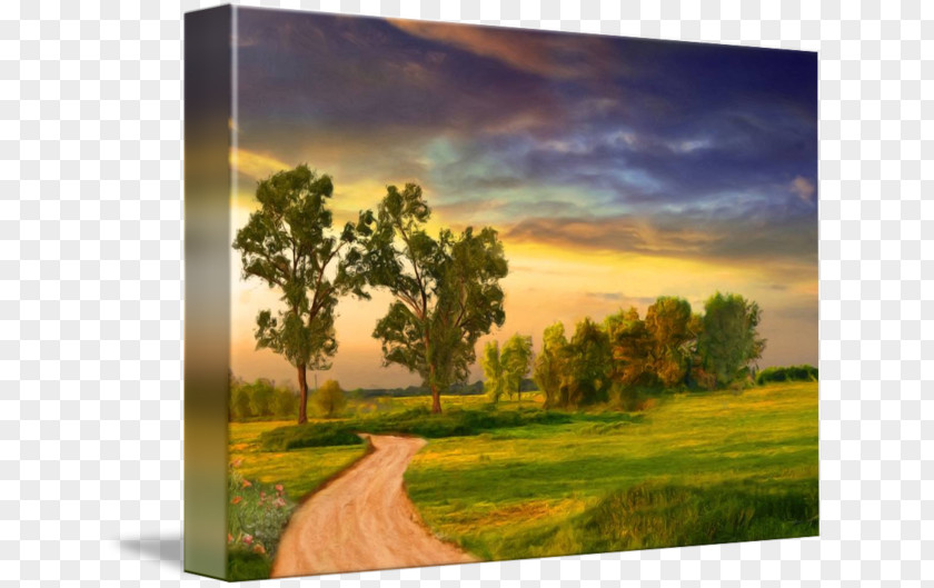 Painting Landscape Art PNG