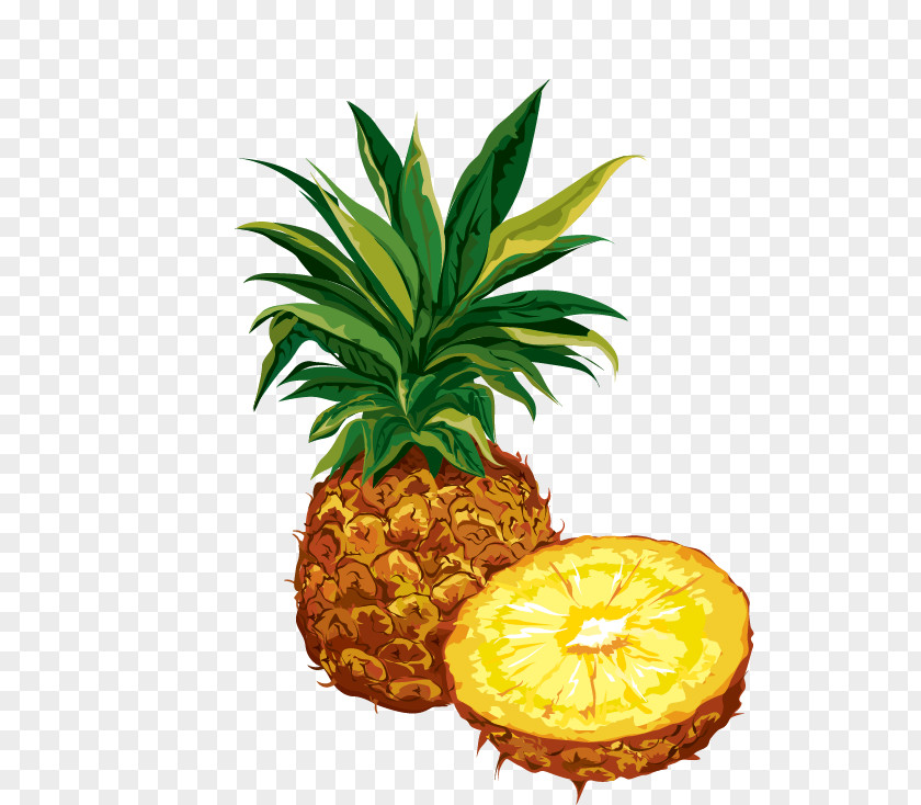 Pineapple Dried Fruit Organic Food Clip Art PNG