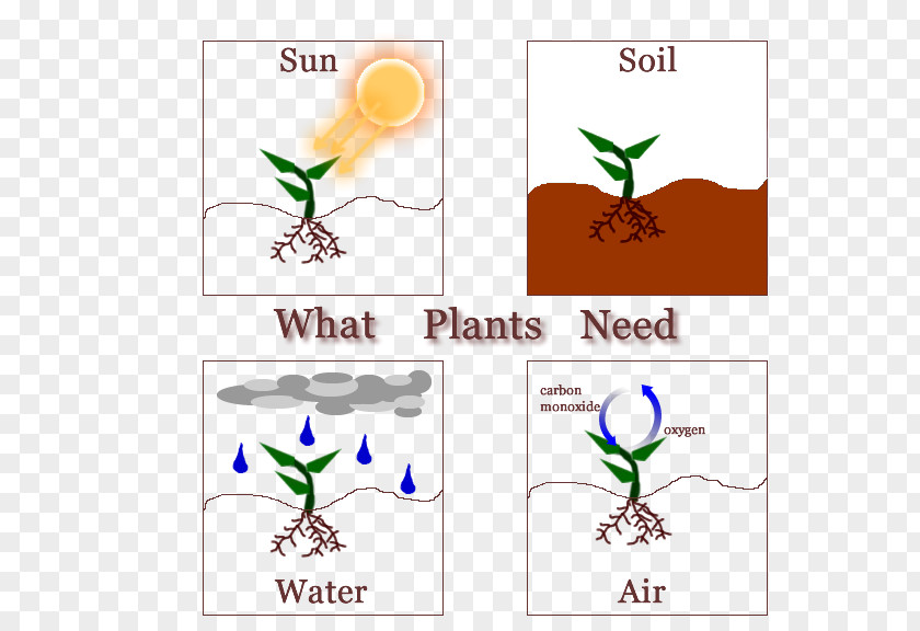 Plants LeafSummer Plant Poster What Need A Plant! Why PNG