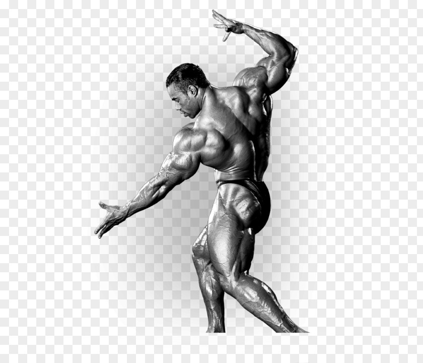 Arnold Schwarzenegger 2016 Mr. Olympia 2017 Sports Festival Dietary Supplement Bodybuilding PNG