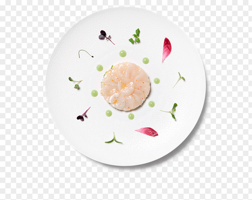 Carpaccio Porcelain PNG