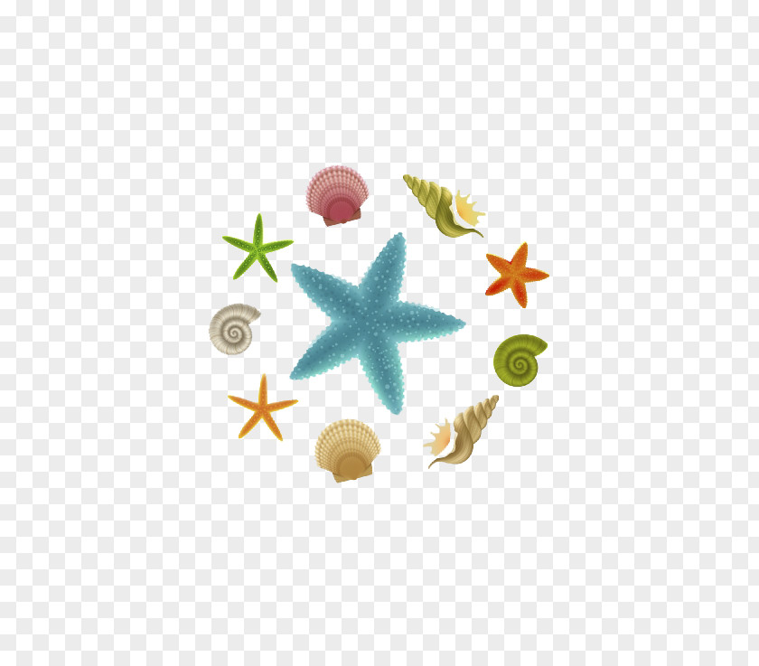 Cute Sea Creatures Starfish Clip Art PNG