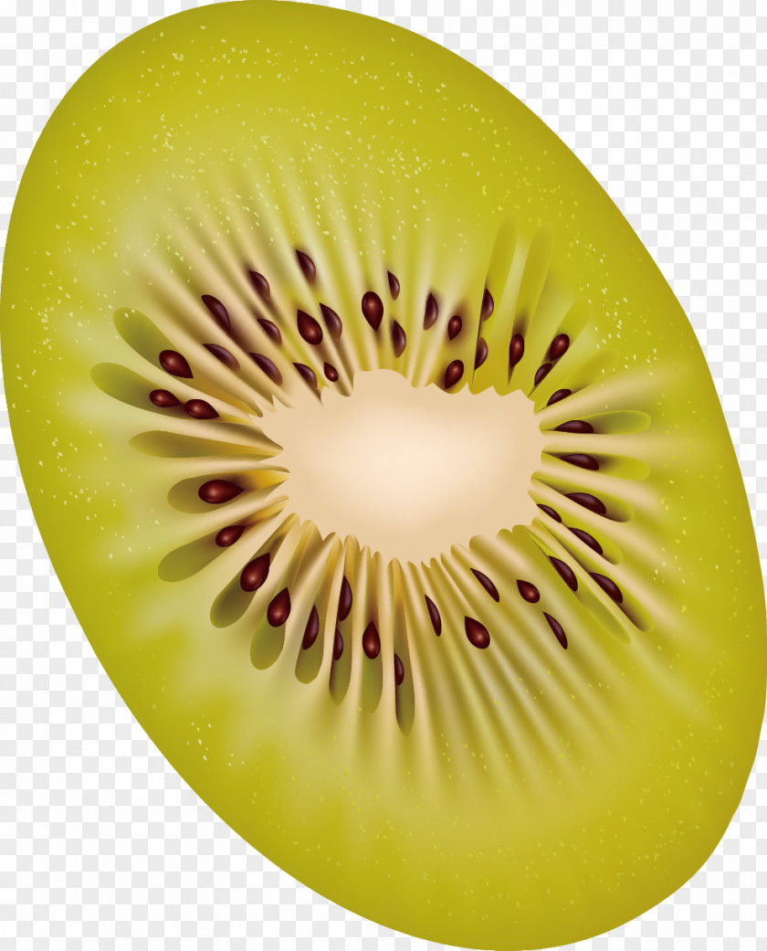 Decorative Design Of Fruit Slices Kiwifruit Clip Art PNG