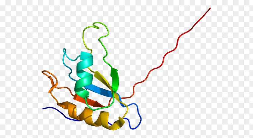 Initiation Factor EIF4B Ribosome Eukaryotic Translation EIF4E PNG