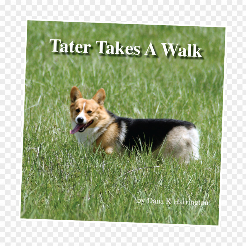 Take A Walk Pembroke Welsh Corgi Cardigan Dog Breed Puppy Book PNG