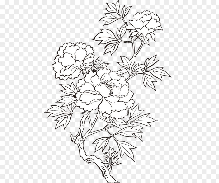 Vector Peony Printing Drawing Flower Painting PNG