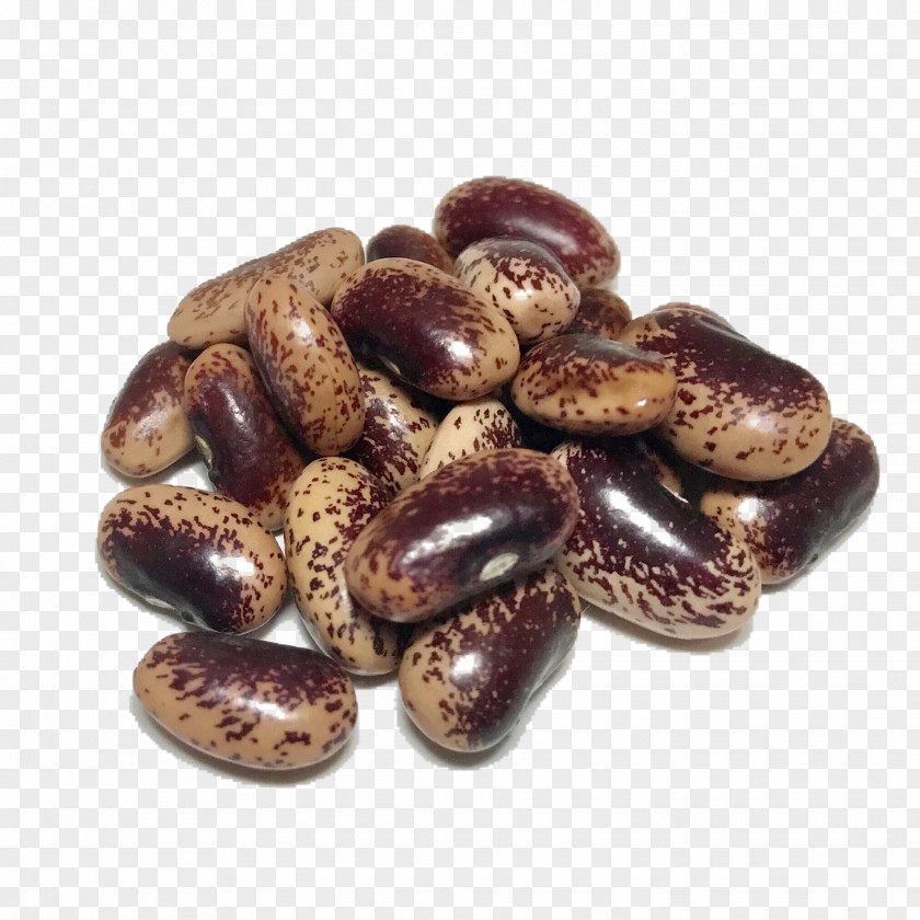 Beans Holland Heirloom Organic Food Plant PNG