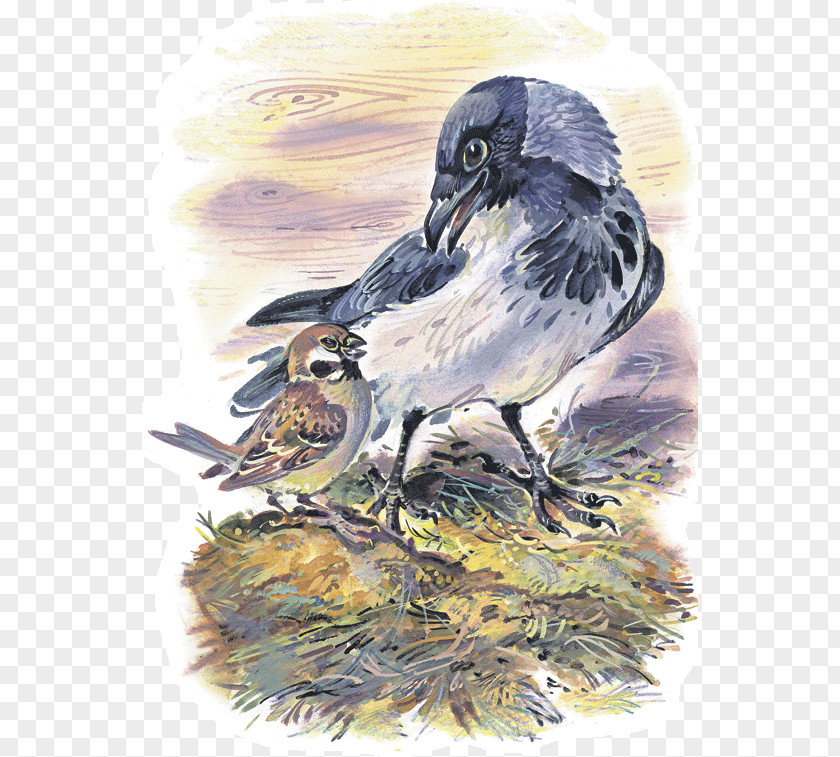 Bird House Sparrow Лесные сказки Сказки шорохи: [рассказы и о родной природе : для мл. шк. возраста] PNG