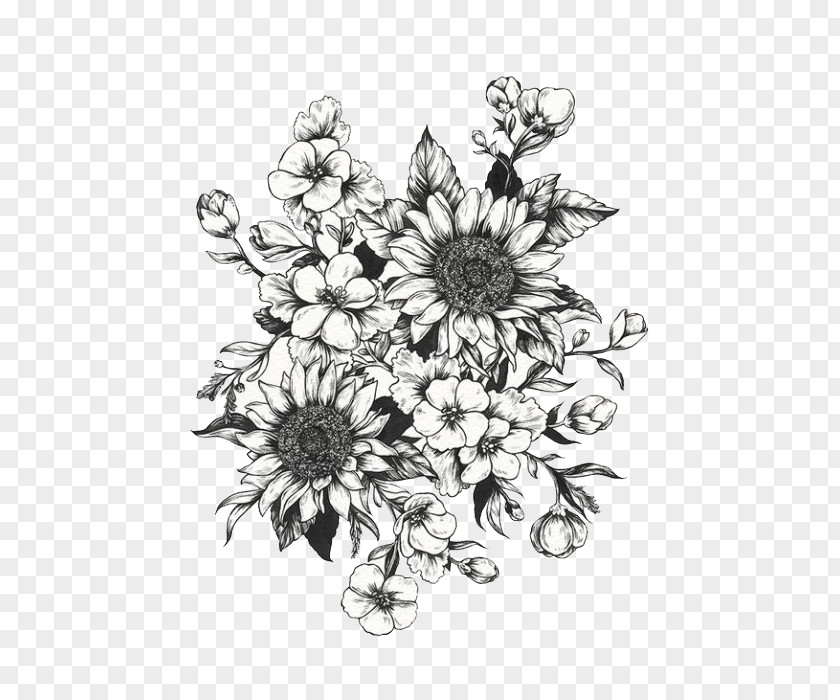 Drawing Common Sunflower Diagram Sketch PNG