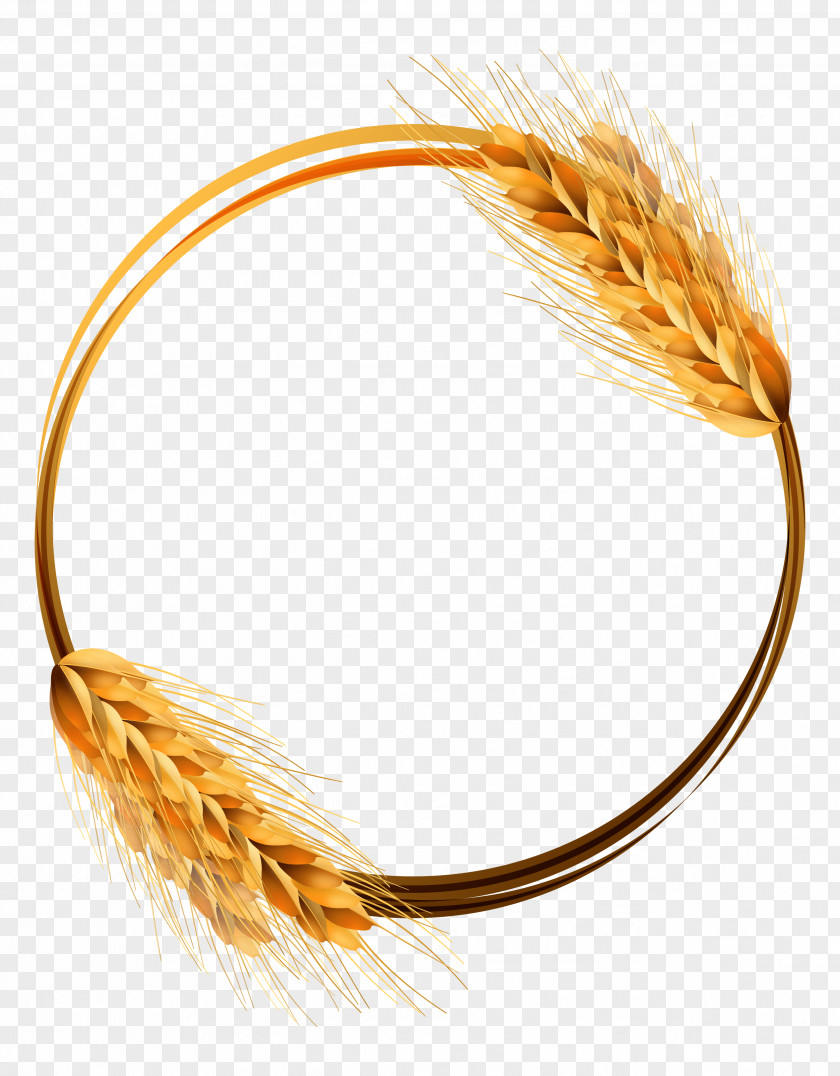 Golden Wheat Ring Vector Material Common Ear Crop PNG