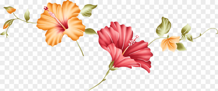 Hibiscus Flower Download Lilium PNG