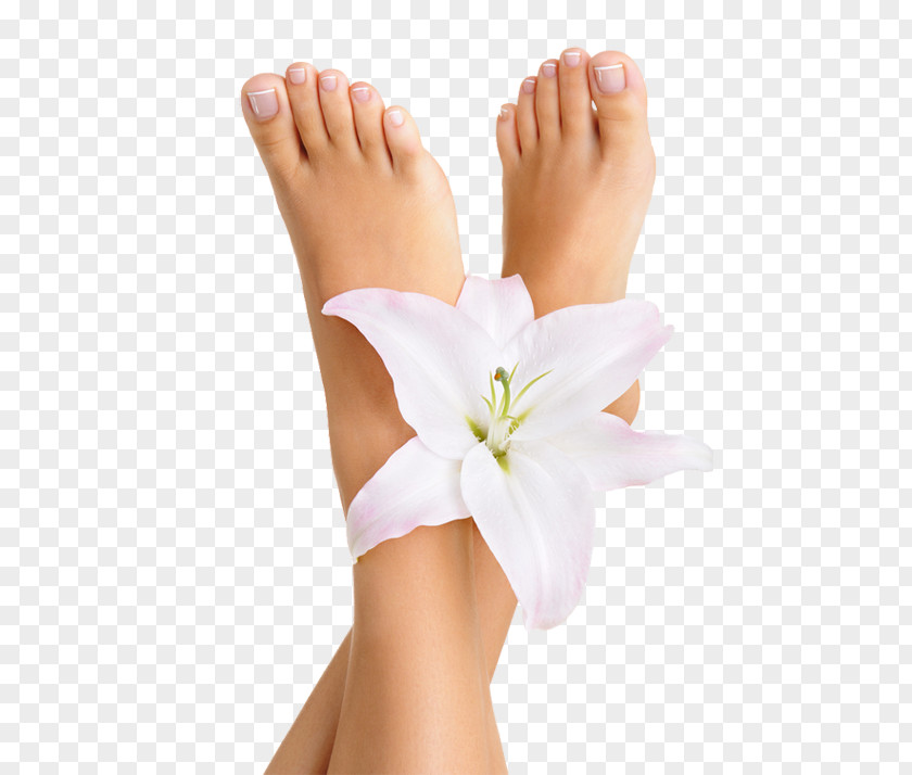 Nail Pedicure Foot Exfoliation Beauty Parlour PNG