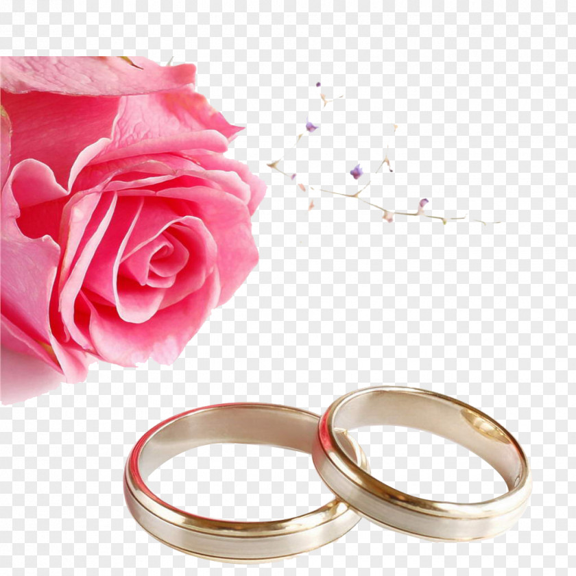 Ring Wedding Invitation Rose Wallpaper PNG