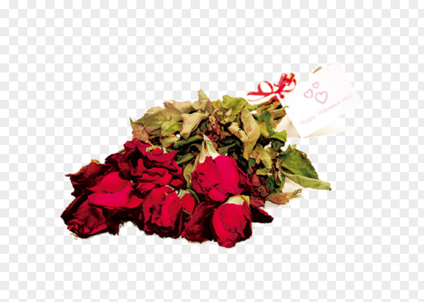Rose Garden Roses Wilting 69 Ways To Get A Job In Advertising Cut Flowers PNG