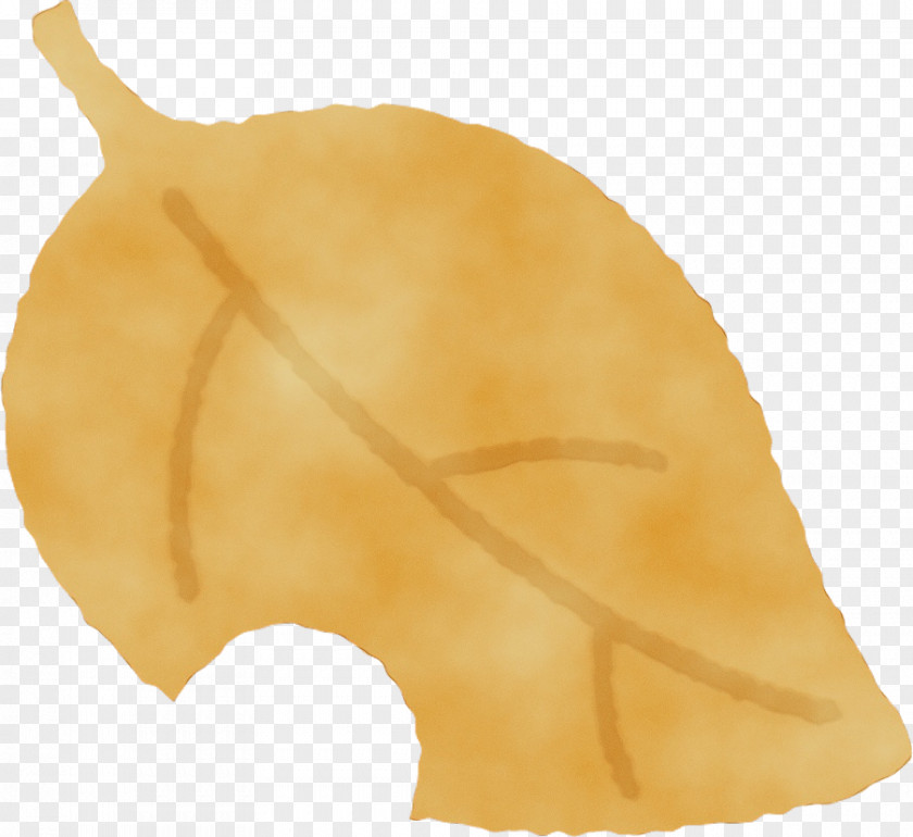 Yellow Leaf PNG