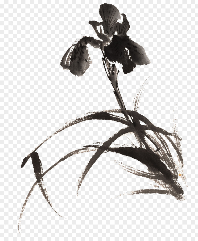 Anggrek Background Ink Wash Painting Chinese Image Orchids PNG