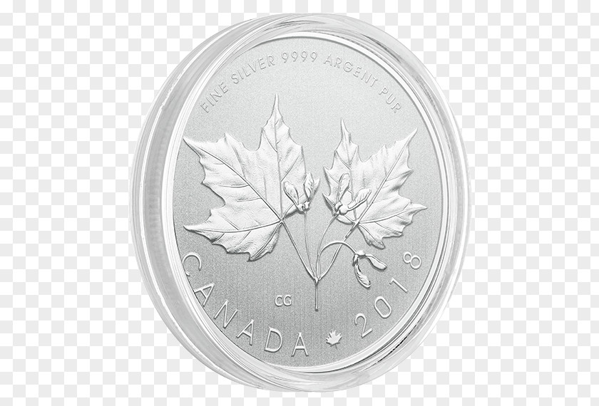 Coin Silver Leaf White PNG