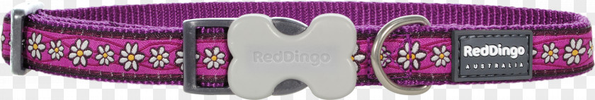 Dingo Dog Collar Leash Pet Tag PNG