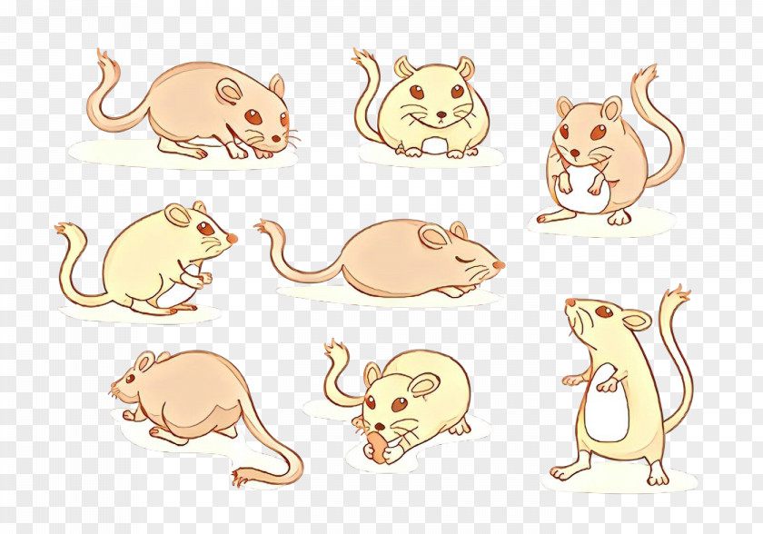 Ear Tail Animal Figure Mouse Rat Muridae Muroidea PNG