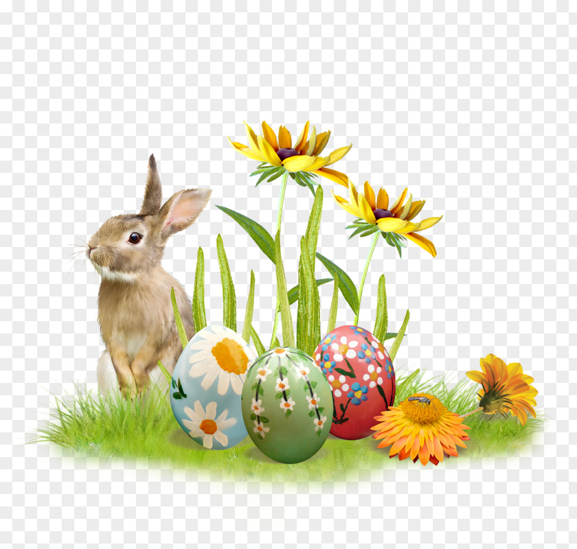 Easter Bunny Clip Art PNG