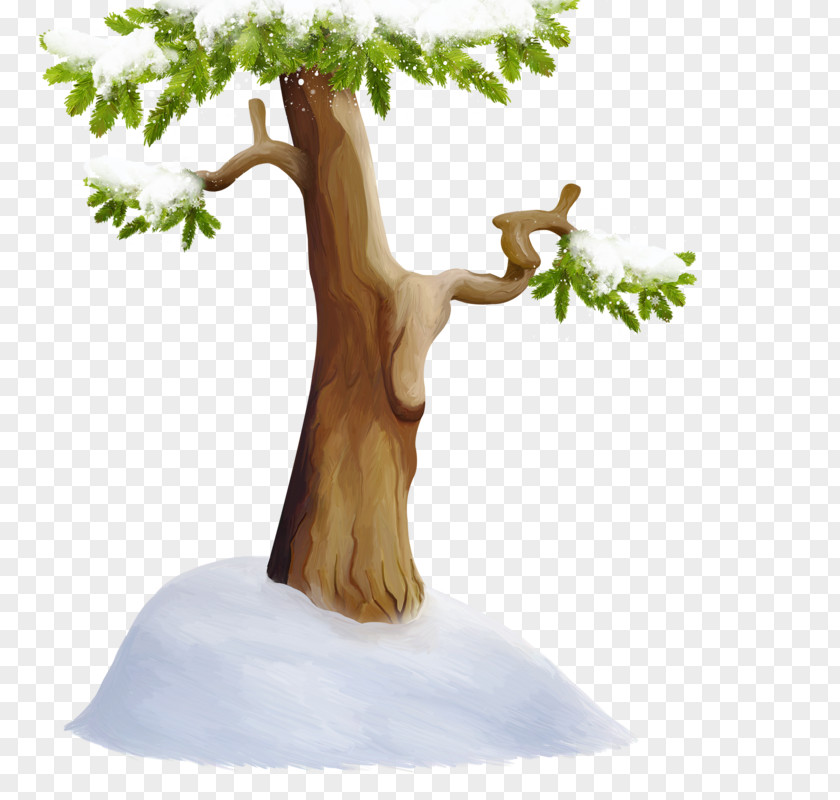 Hand-painted Trees Snow Tree Wood PNG