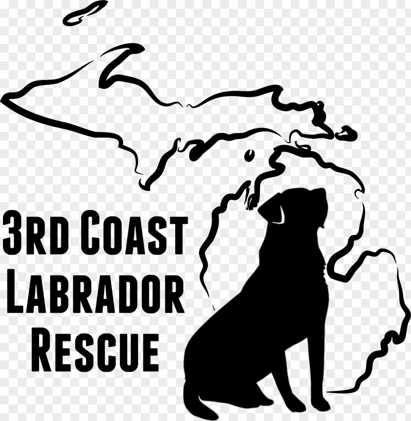 Labrador Retriever Mecosta-Osceola Transit Auth Information Clip Art PNG