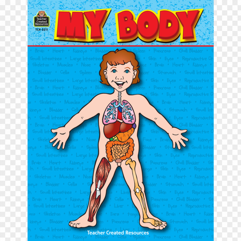 My Body First Human Book Inside Your Outside! The Magic School Bus PNG