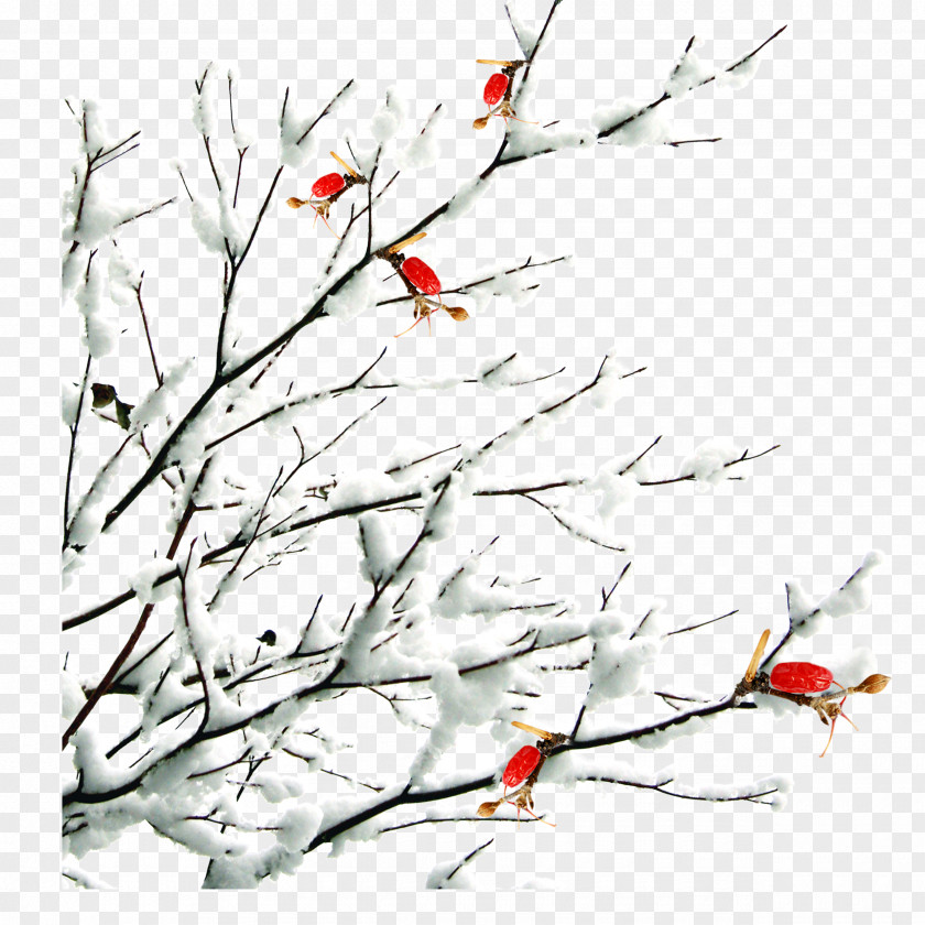 Plum Flower,winter,antiquity,Chinese Style Daxue Dongzhi Dahan Snow Solar Term PNG