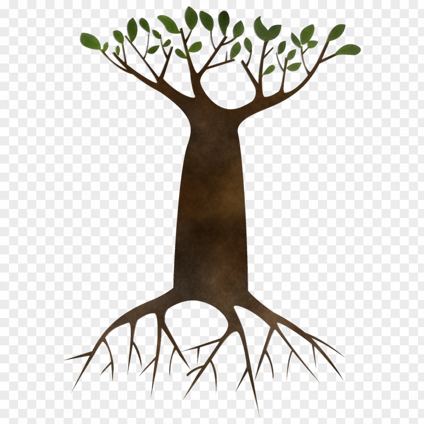 Trunk Grass Tree Branch Root Woody Plant PNG