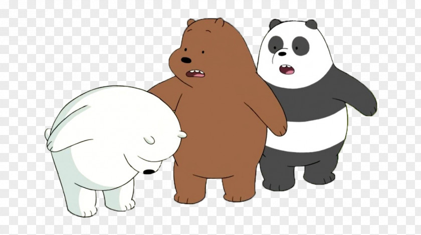 Bear Ice Polar Dog Human PNG