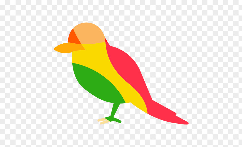 Bird Design Illustration Drawing PNG