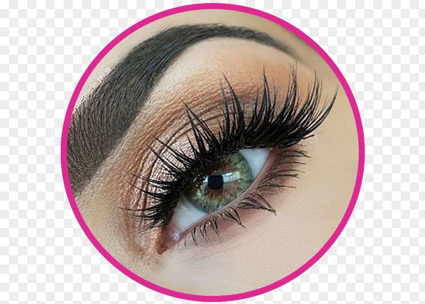 Eyelash Extensions Artificial Hair Integrations Beauty Parlour Waxing PNG