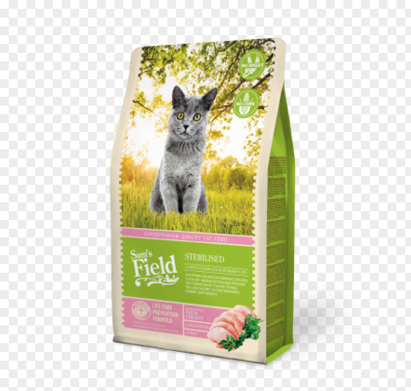 Kitten Cat Food Les Chatons Torrfoder PNG