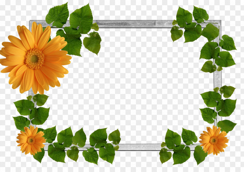 Leaf Frame Photos Happiness Spring Wish PNG