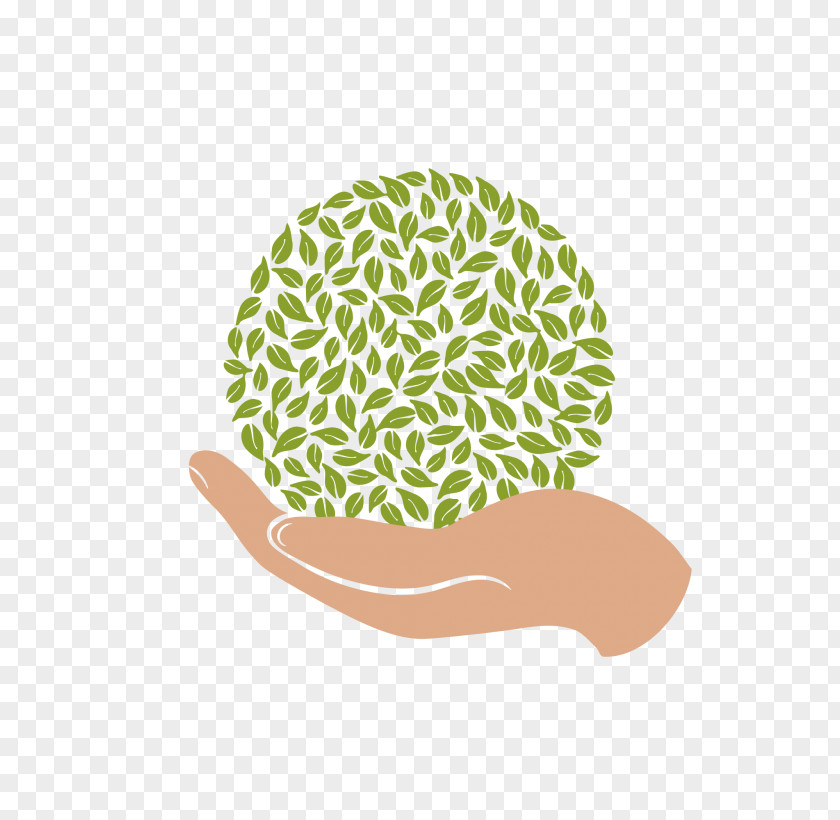 Tree Vector Logo Clip Art PNG