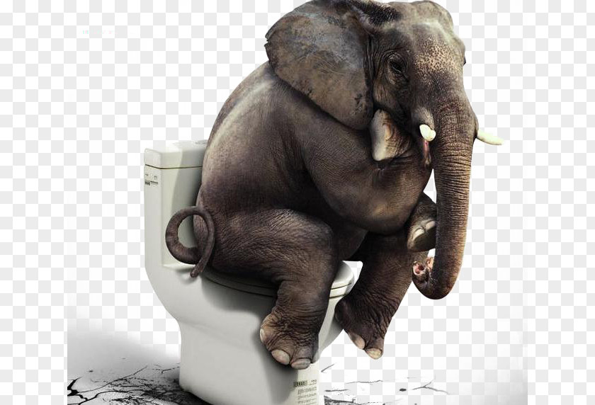 Elephant Toilet Seat Shower Curtain Bathroom Carpet PNG