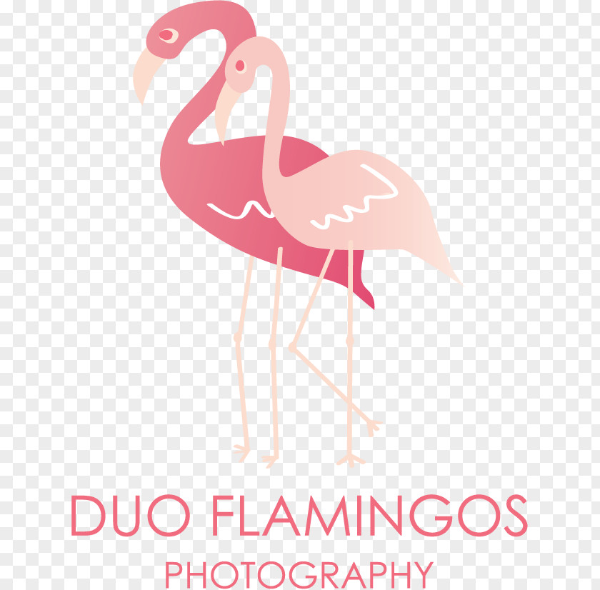 Flamingos Word Duo Photography PNG