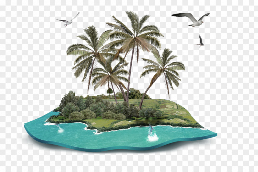 Green Fresh Island Decoration Pattern Coconut Clip Art PNG