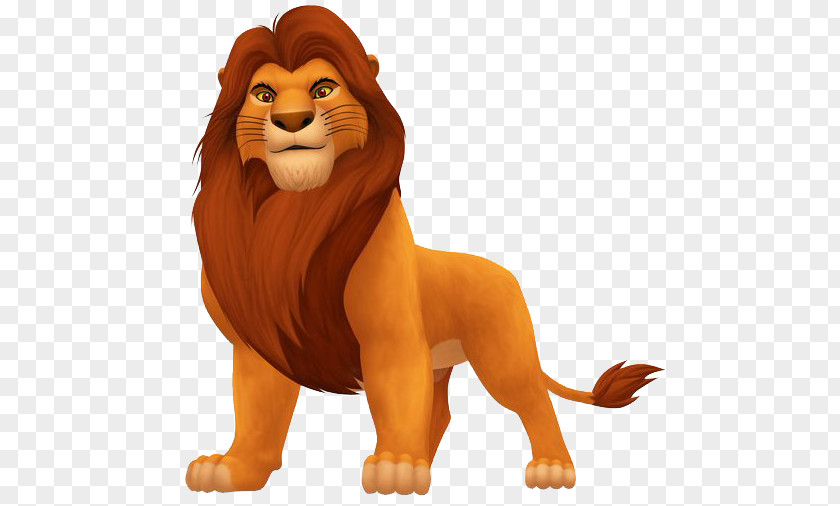 Realistic Lion Cliparts Simba Nala Shenzi Scar Mufasa PNG