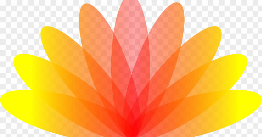 Teal Lotus Desktop Wallpaper Computer Orange S.A. PNG