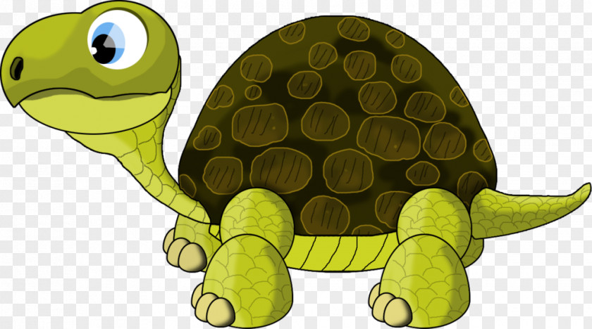 Turtle Tortoise Sea Art PNG