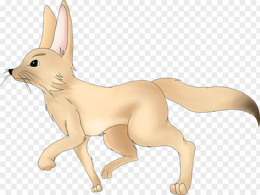 Dog Fennec Fox Fur Pet PNG