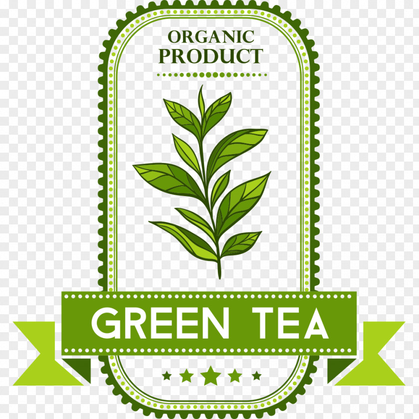 Green Tea Culture PNG
