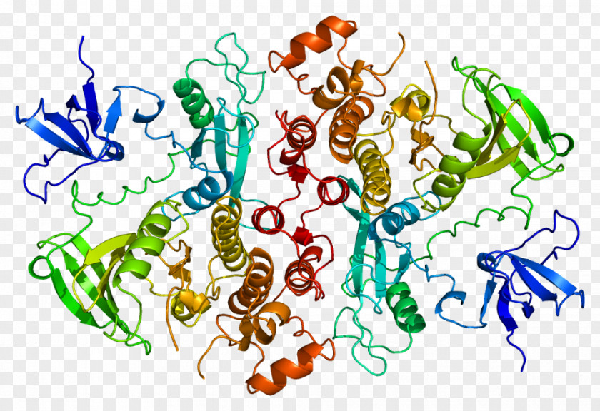 HCK Protein Kinase Tyrosine Gene PNG