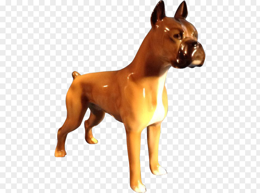 Boxer Ancient Dog Breeds Porcelain Ceramic PNG