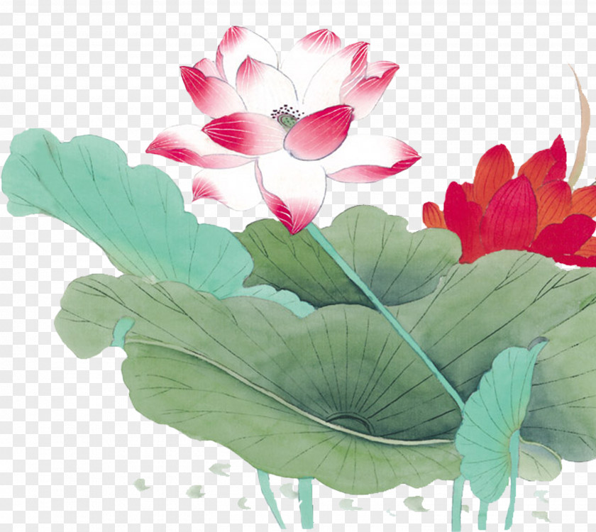 Chinese Style Painting Lotus Nelumbo Nucifera Flower Bird PNG