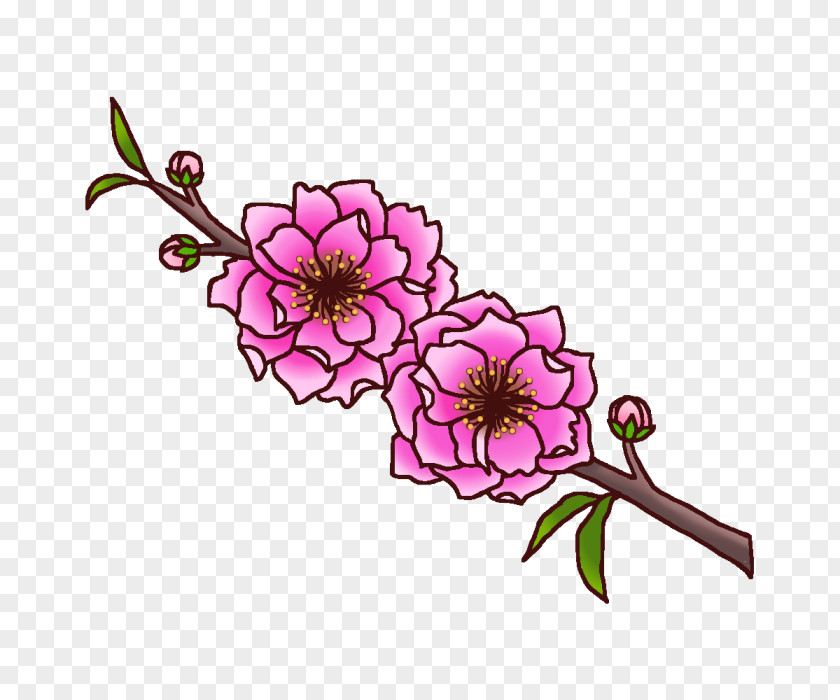 Floral Design PNG