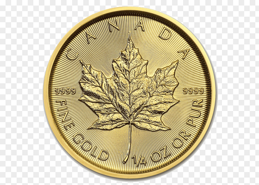 Gold Canadian Maple Leaf Ounce Bullion Coin PNG
